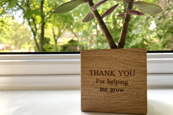 A small potted plant on a window sill, with the engraving "Thank you for helping me grow"